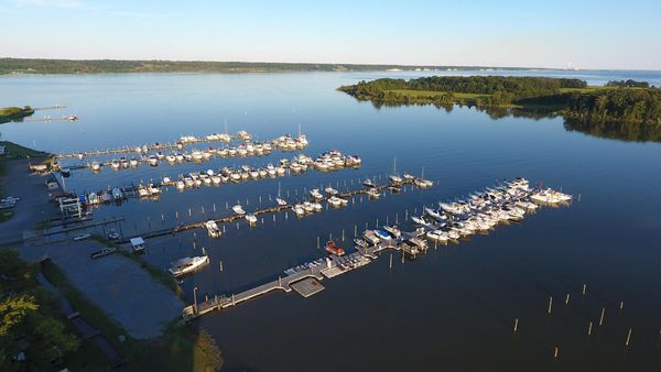 Marina Slips in Morning Light -  Goose Bay Marina & Campground - Welcome, MD - Oasis Marinas