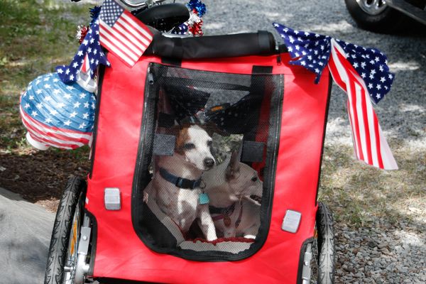 Pet Parade -  Goose Bay Marina & Campground - Welcome, MD - Oasis Marinas