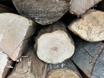 A pile of seasoned hard wood for burning