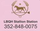Lazy B Stallion Station