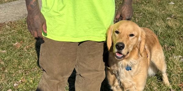 Golden retriever standing next to a person in bright green shirt and brown pants.