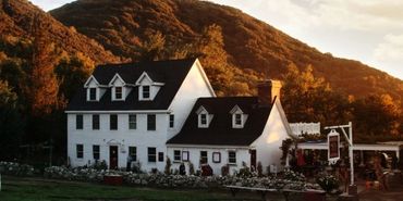 Riley's farm oak glen california