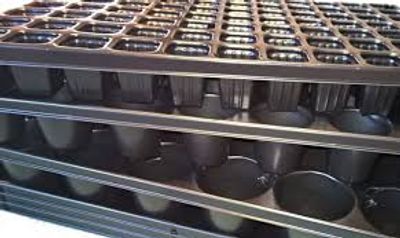 Propagation and transplant trays