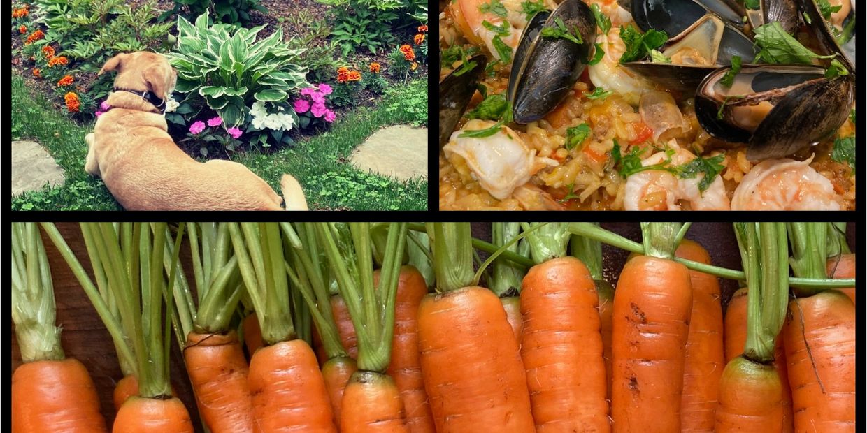Mashup of a dog in the garden, seafood paella, and carrots
