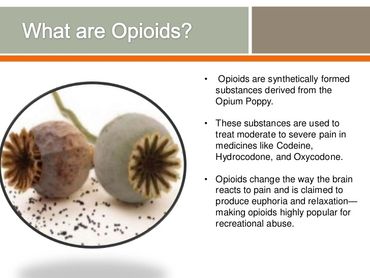 Opioids are synthetic substances from the Opium Poppy used to treat pain but can cause euphoria and addiction.