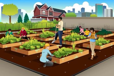 Community Garden