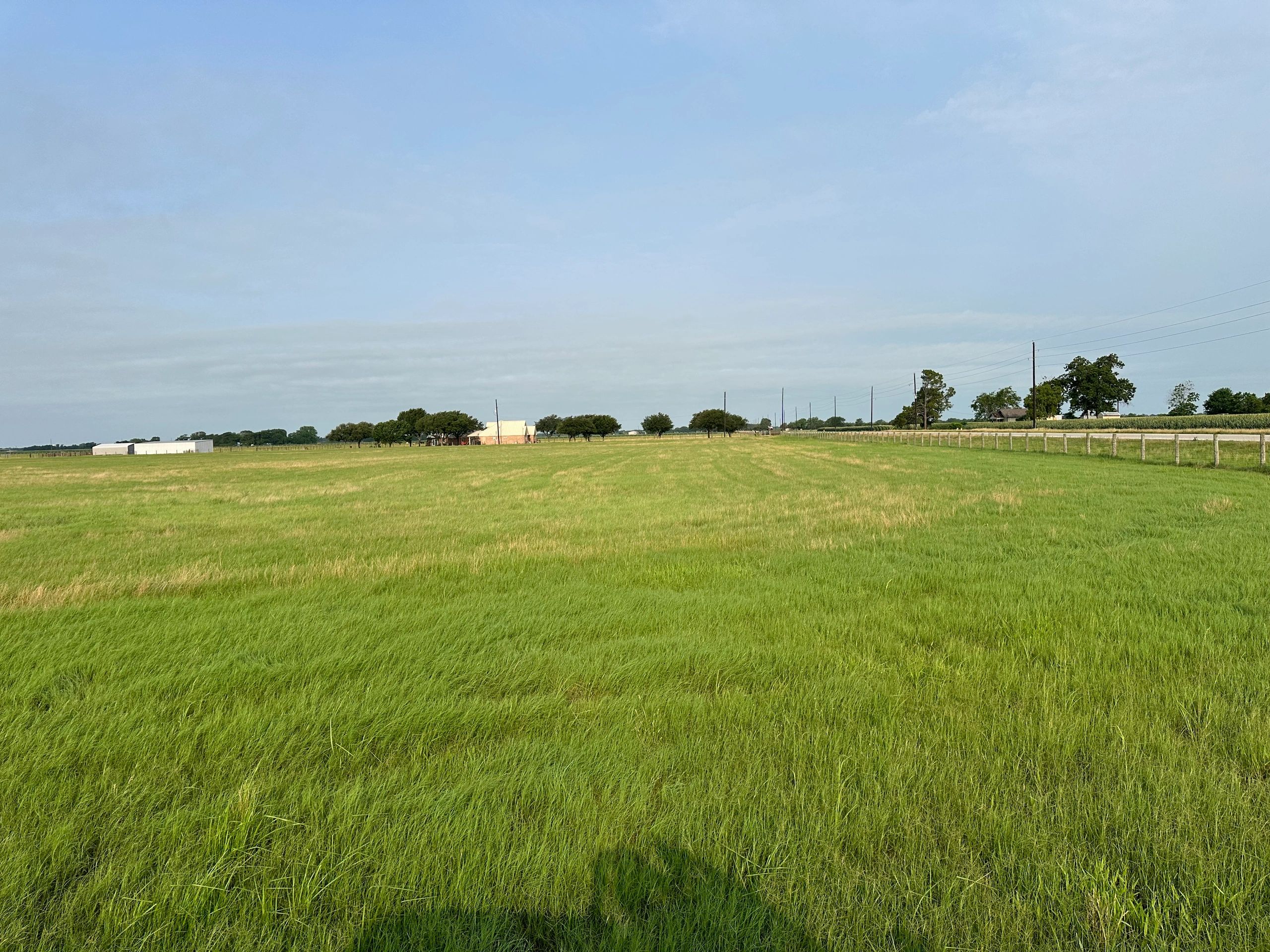 Wide green field under a clear blue sky with distant buildings and trees.