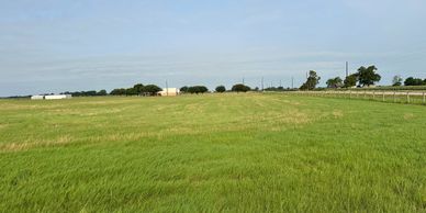 Wide green field under a clear blue sky with distant buildings and trees.