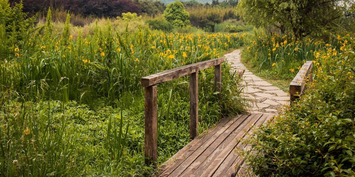 Wooden bridge leading to a stone path in a green field with yellow flowers.