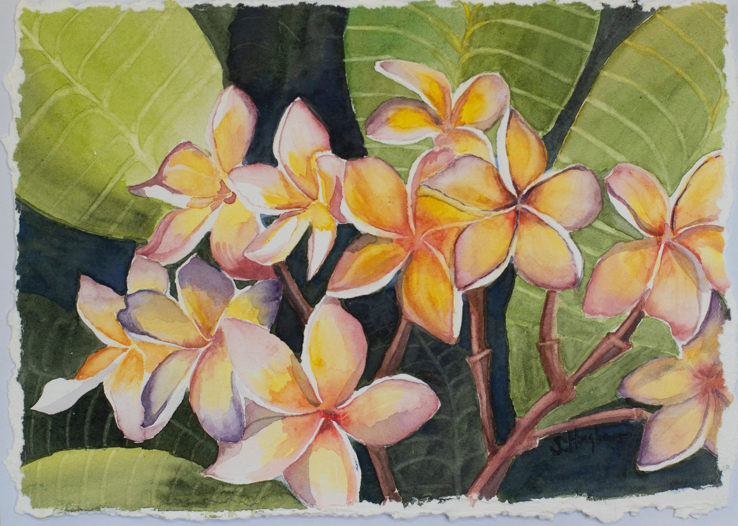 Small Maui Plumeria - Original watercolor on 8x10 hand torn watercolor paper.
