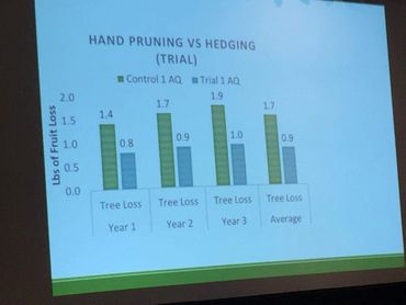 American Olive Producers Association