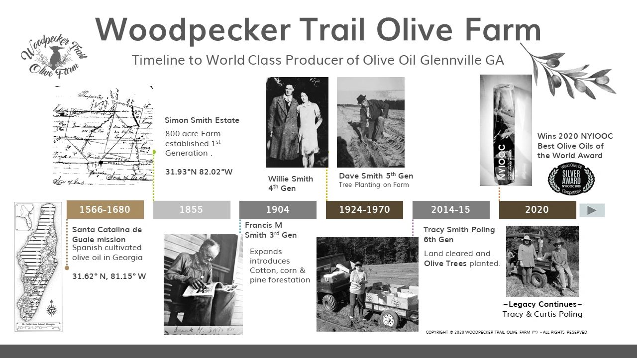 Timeline to World Class Producer of Olive Oil in Glennville GA