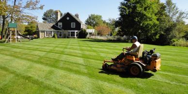 Lawn care for REO Bank property
