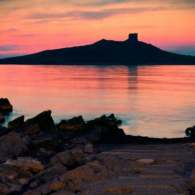 Step beyond the retreat and into the living beauty of the South. The Vere Vitae Excursion experience