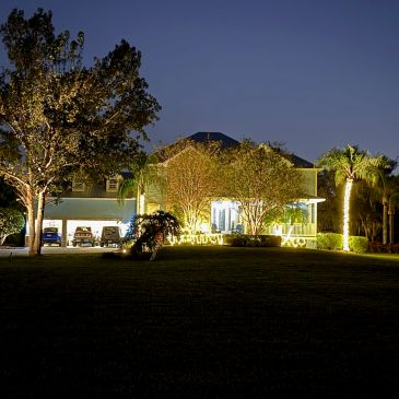 Warm White Bush, robolini, palms and hedges.