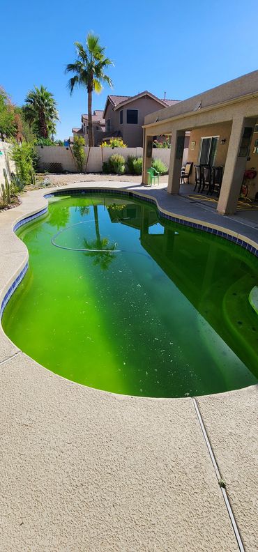 A green pool