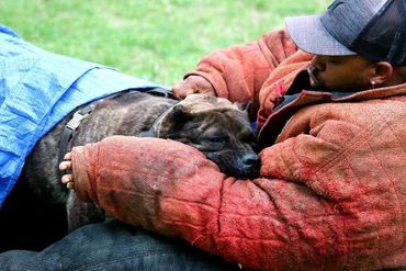 PresaMania Presa Canario Bite