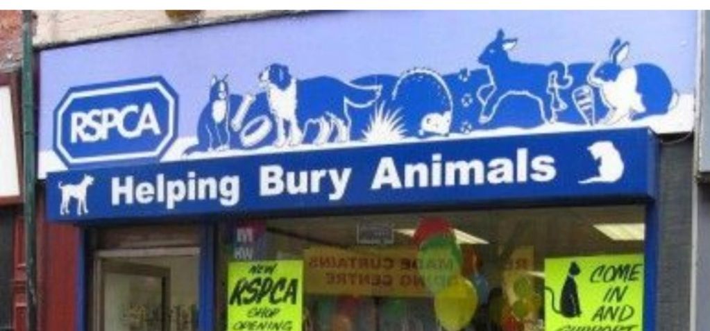 An image of a business Awning lettered.