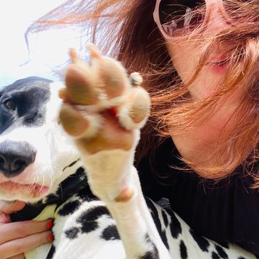 My clients have the best personalities