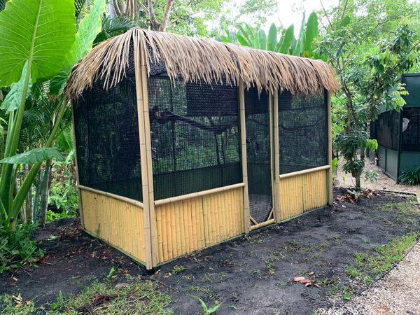 Macaw Aviary