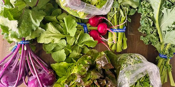 Bundles of fresh radishes, broccoli, greens, and other vegetables on a wooden board.