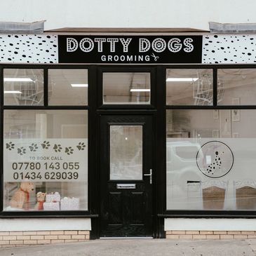 Dog grooming in Hexham