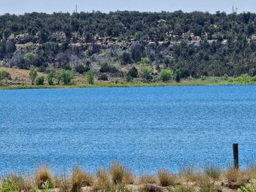 everyone loves fishing with wildwestexcursions.com