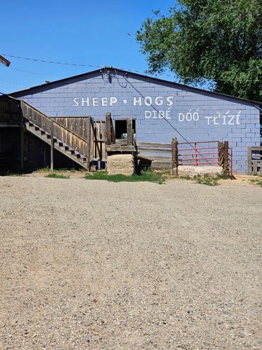 sale every wednesday with wildwestexcursions.com