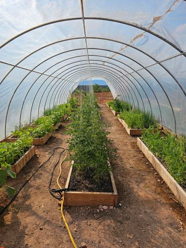 farm fresh lunch is grown with wildwestexcursions.com