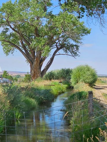 ditch irrigation is at wild west excursions in cortez colorado