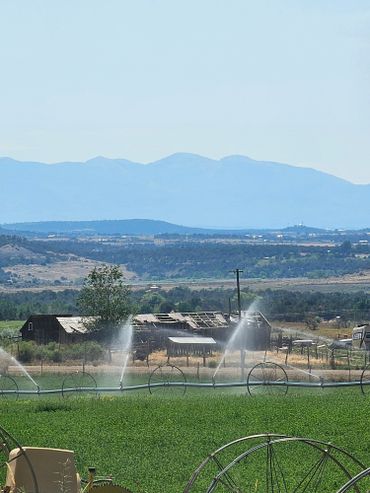 irrigation is at wild west excursions in cortez colorado