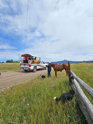 High country trail rides working cattle, or through the forest, lake or river with WildWestX.com