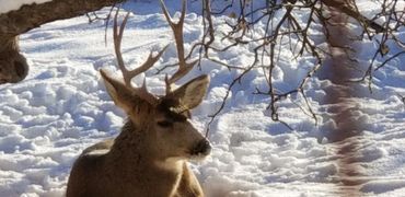 Things to do in Cortez Colorado with WildWestExcursions.com