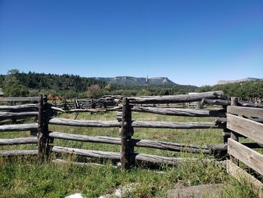 Things to do in Cortez Colorado with WildWestExcursions.com