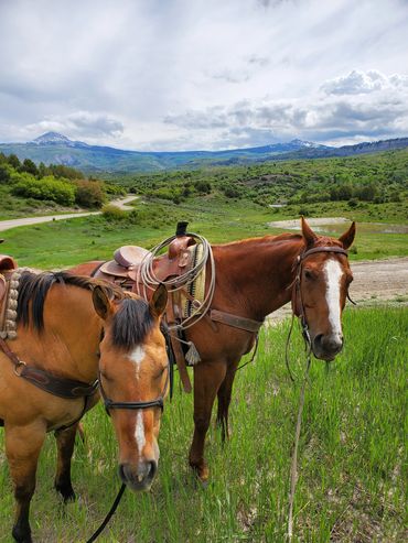 High country trail rides working cattle, or through the forest, lake or river with WildWestX.com