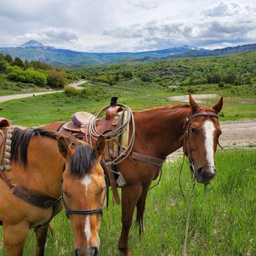 horse guides for horse tours