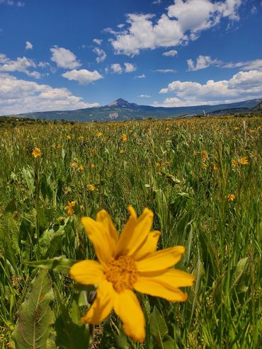 Things to do in Cortez Colorado with WildWestExcursions.com