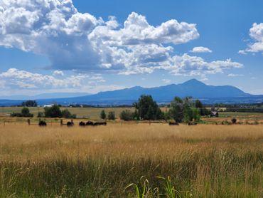 beautiful sprawling ranches from cortez with wildwestx.com