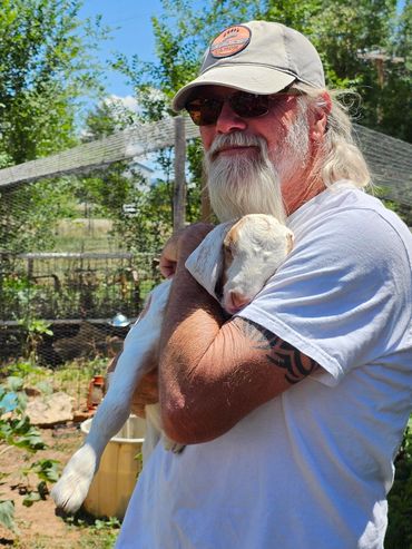 everyone loves baby goats at wildwestexcursions.com