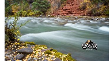 ride by the dolores river with wildwestexcursions.com