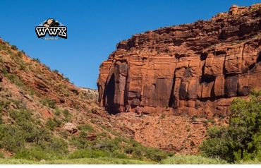 ride the dolores river horseback with wild west excursions from cortez