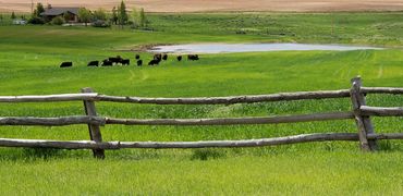 Things to do in Cortez Colorado with WildWestExcursions.com