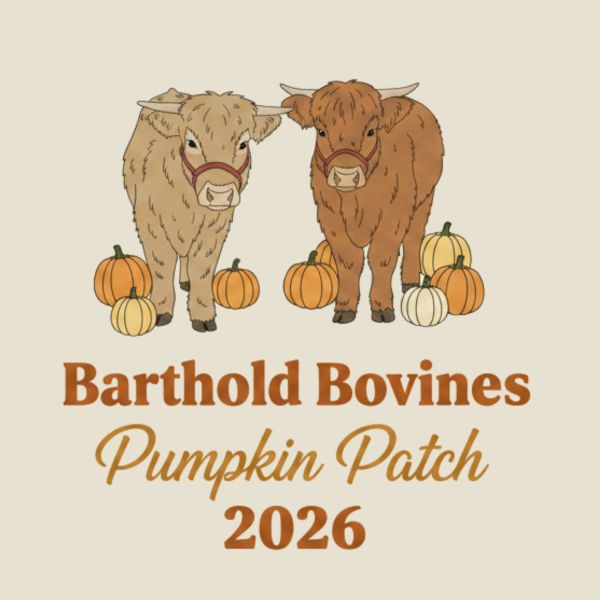 Two calves with pumpkins and text for Barthold Bovines Pumpkin Patch 2026.