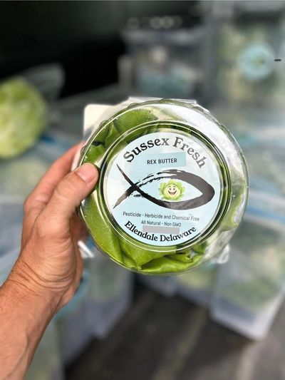 Hand holding a container of Sussex Fresh Rex Butter lettuce.
