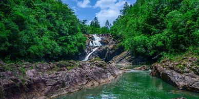 Mountain Pine Ridge Reserve Forest