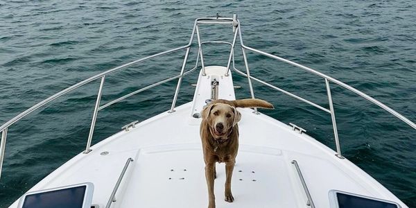 Things to do Bodega Bay, CA. Meet skip on Charter Boat "Shauna Lee". Sonoma Coast Adventures
