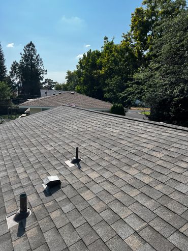 View of rooftops with trees and clear sky in the background.