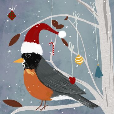 Winter Robin - Michelle Ingari
