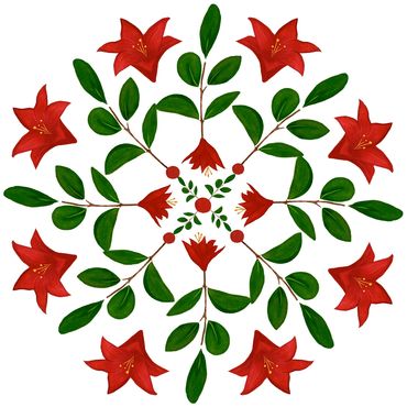 Amaryllis snowflake from the Winter Garden Collection - Michelle Ingari