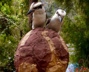 Cal the Stoner receives daily visitors. Two Kookaburra's sit perched on a Planet of galaxy z.